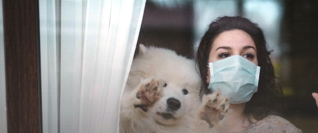 Quarantena e pets, 10 consigli