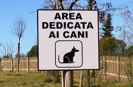 Aree cani: qualche consiglio
